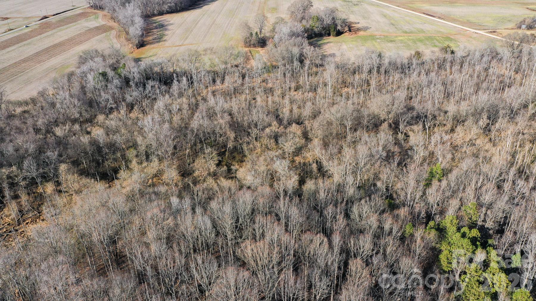 530 Upright Road Mount Ulla, NC 28125 - Photo 47 of 48 a view of a dry yard