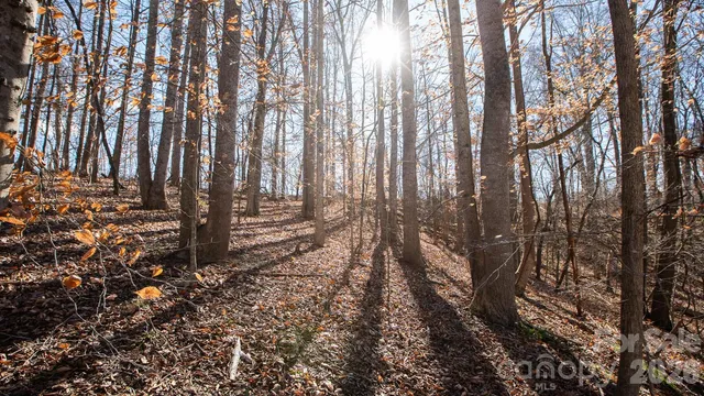 $4,399,000 | 530 Upright Road, Mount Ulla, NC 28125