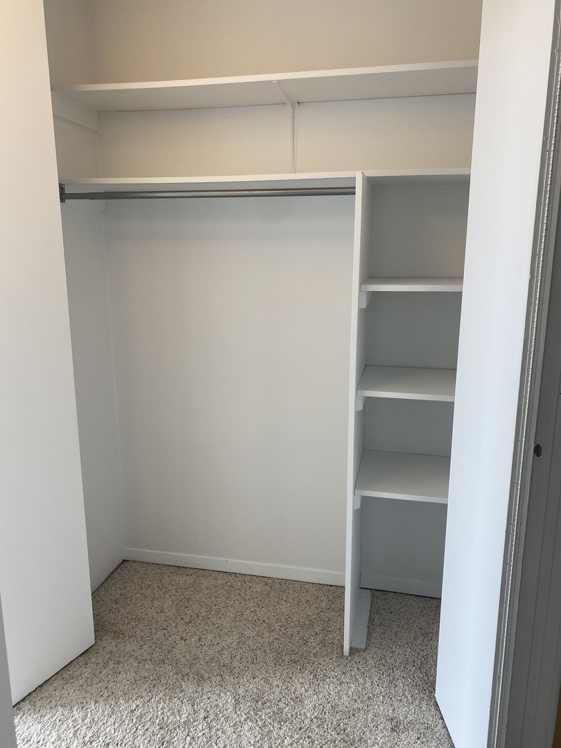 2015 South Finley Road, Unit 1101 Lombard, IL 60148 - Photo 14 of 24 a view of an empty walk in closet