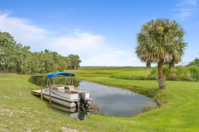 a view of a park with a large trees