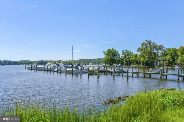 a view of lake with boats