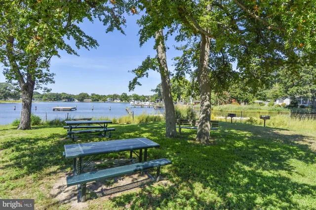 a view of a bench in the garden near a lake