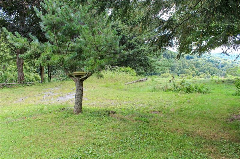 1220 Ridge Road Ambridge, PA 15003 - Photo 19 of 22 View from backyard