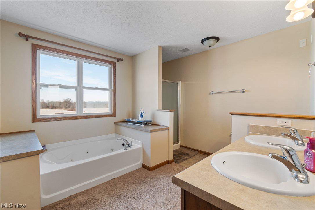 4363 Wile Road Wooster, OH 44691 - Photo 26 of 36 Bathroom featuring independent shower and bath, dual vanity, and a textured ceiling