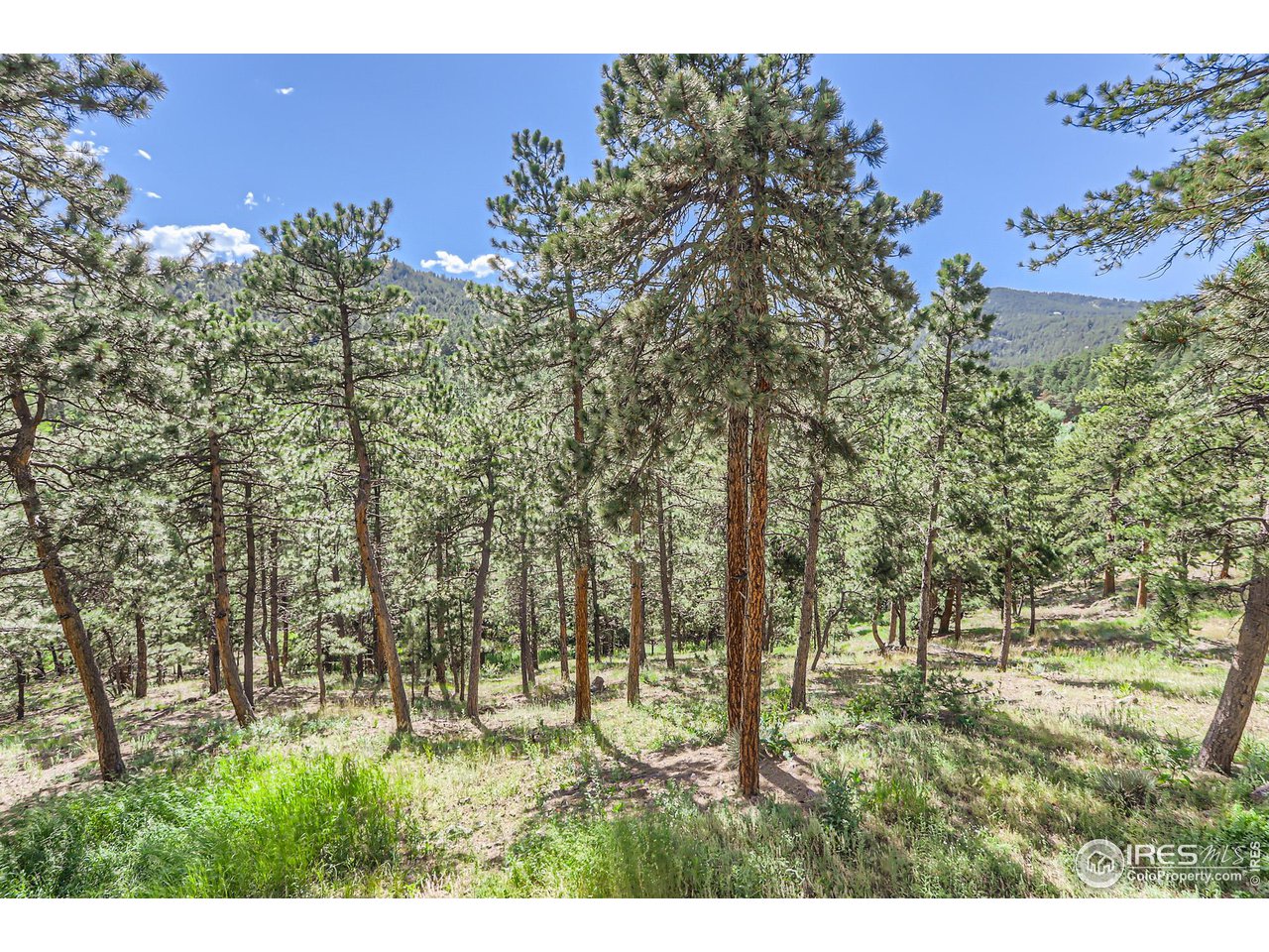 156 Betasso Road Boulder, CO 80302 - Photo 28 of 38 a view of outdoor space and yard