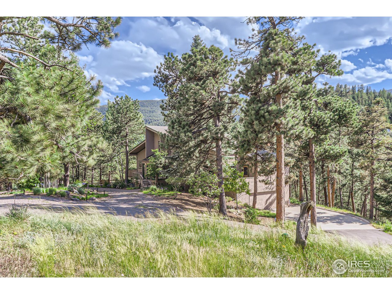 156 Betasso Road Boulder, CO 80302 - Photo 3 of 38 a backyard of a house with lots of green space