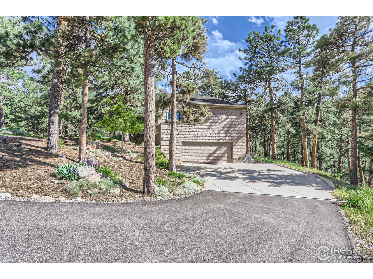 156 Betasso Road Boulder, CO 80302 - Photo 4 of 38 a backyard of a house with large trees and plants