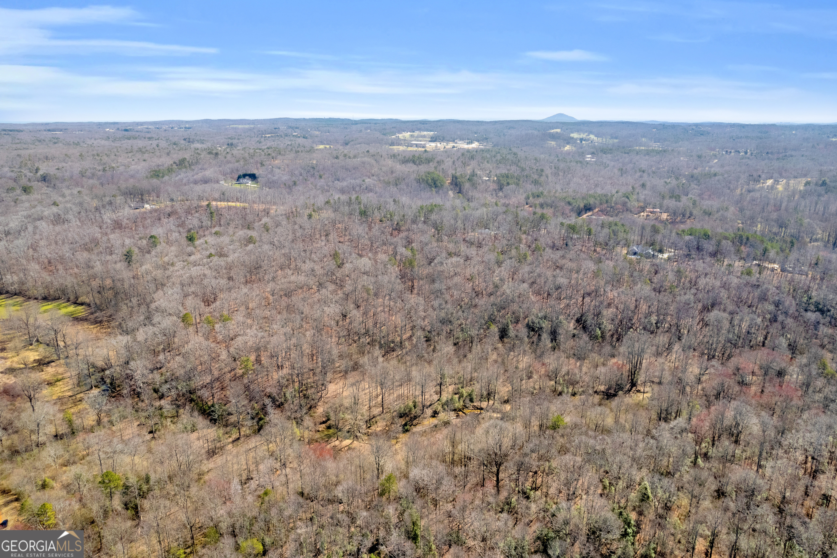 0 Gladston Road Mount Airy, GA 30563 - Photo 15 of 30