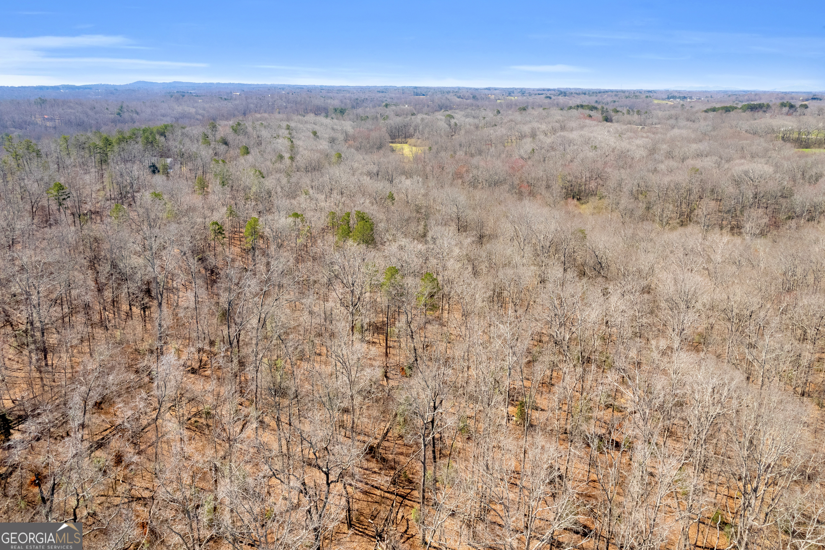 0 Gladston Road Mount Airy, GA 30563 - Photo 9 of 30
