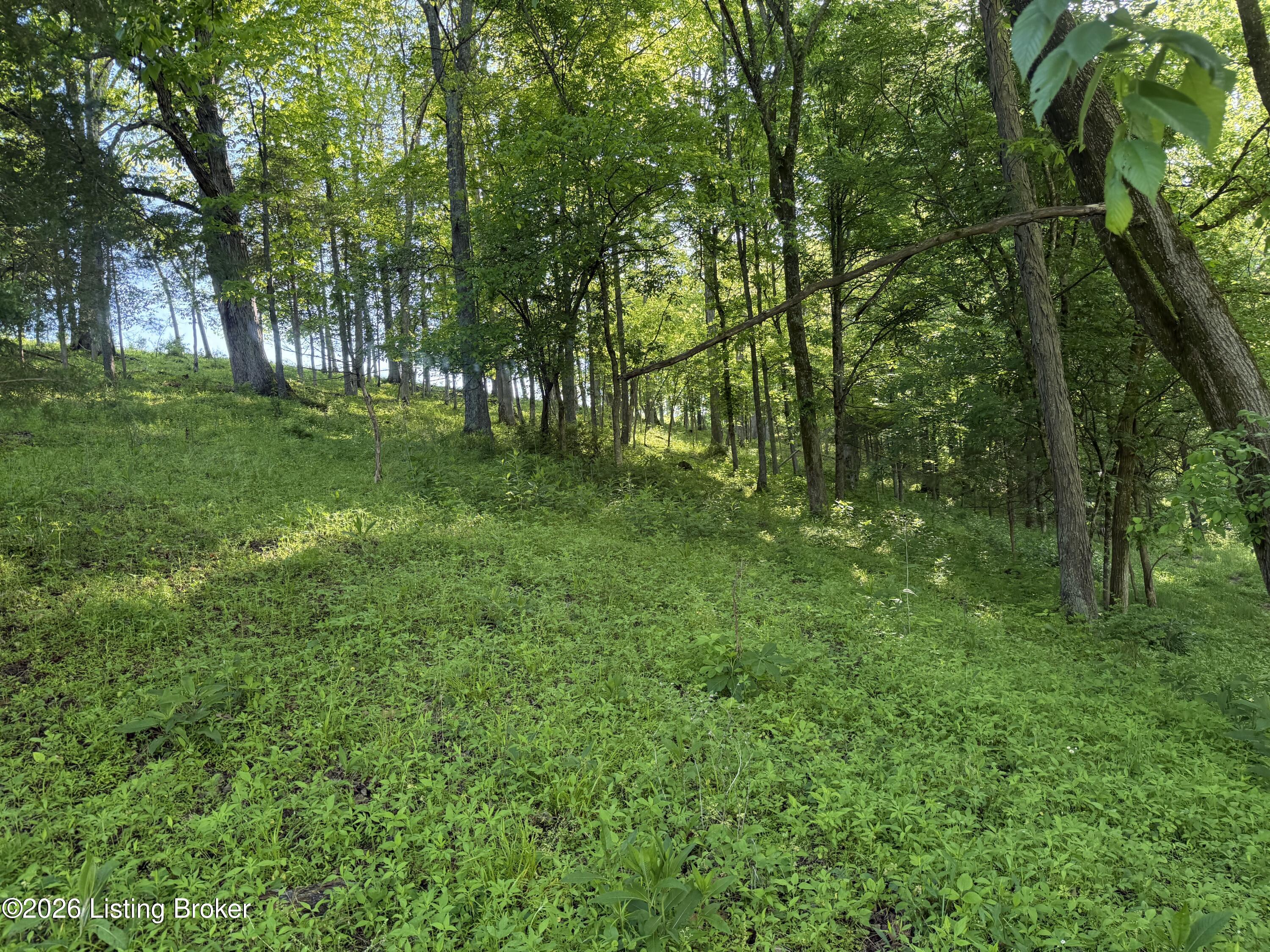 1255 Love Rdg Road, Unit LOT #2 Chaplin, KY 40012 - Photo 8 of 14 IMG_8876