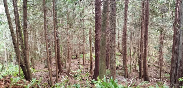 a view of outdoor space and garden