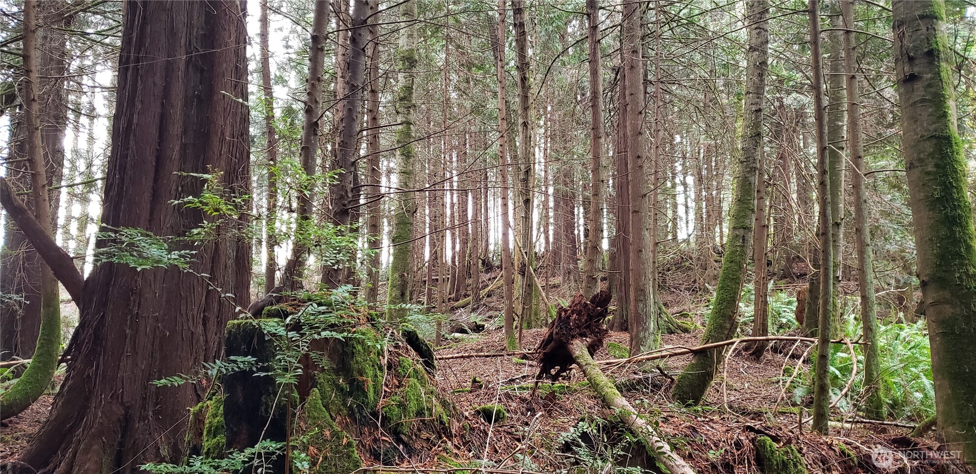 104 Northeast State Highway 104 Poulsbo, WA 98370 - Photo 2 of 34 a backyard of a house with lots of green space