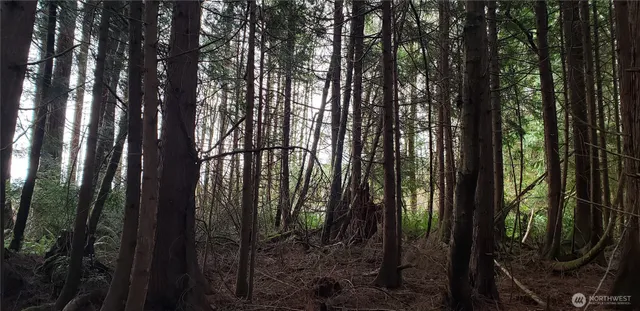 a view of outdoor space with lots of trees
