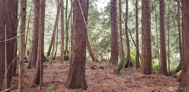 a view of outdoor space