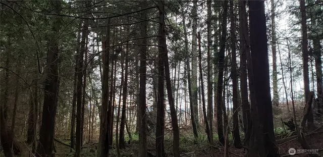 a backyard of a house with lots of green space and a bench