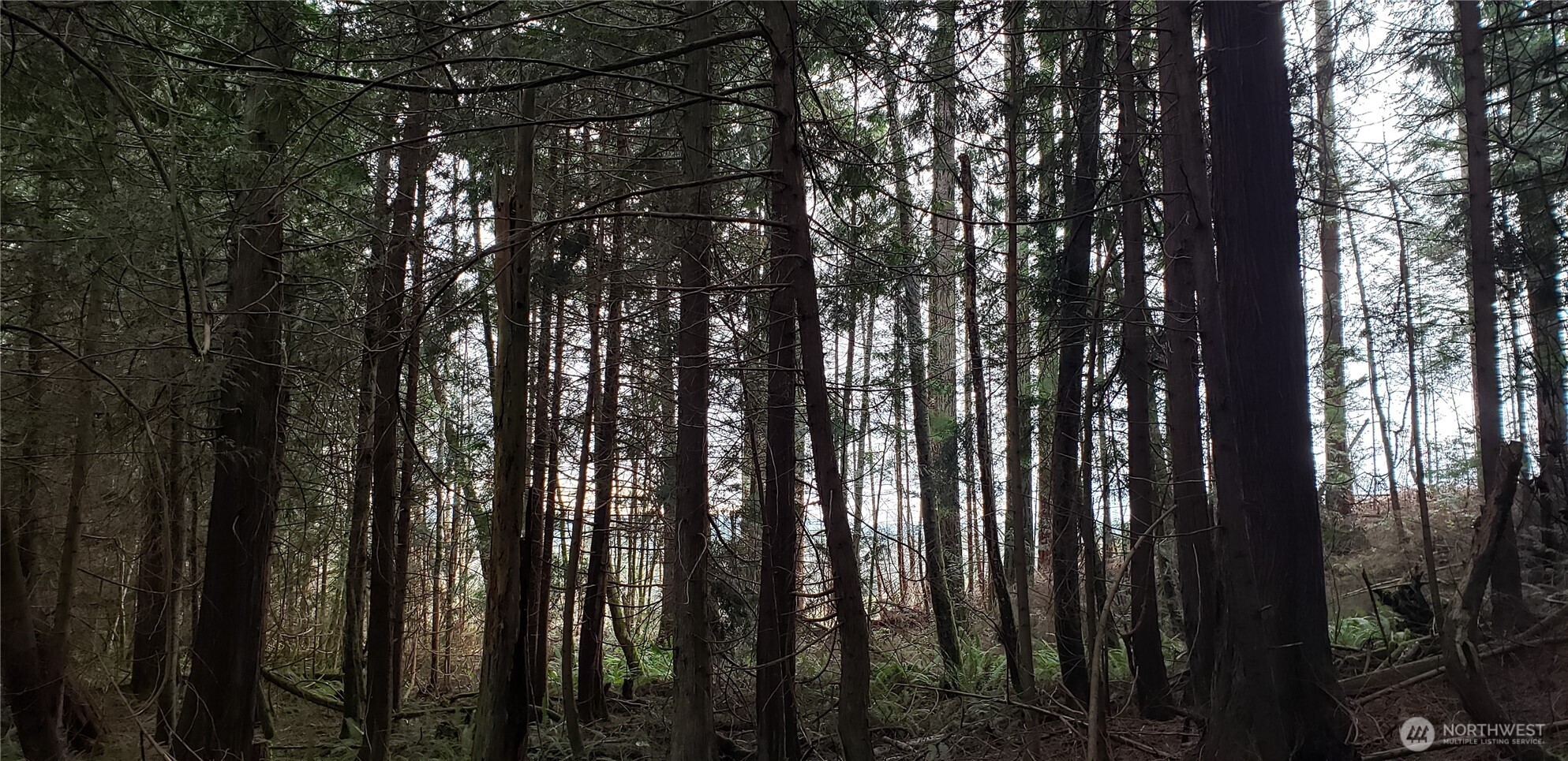 104 Northeast State Highway 104 Poulsbo, WA 98370 - Photo 23 of 34 a view of outdoor space