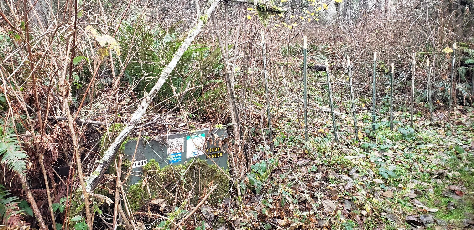 104 Northeast State Highway 104 Poulsbo, WA 98370 - Photo 29 of 34 a backyard of a house with lots of green space and chair
