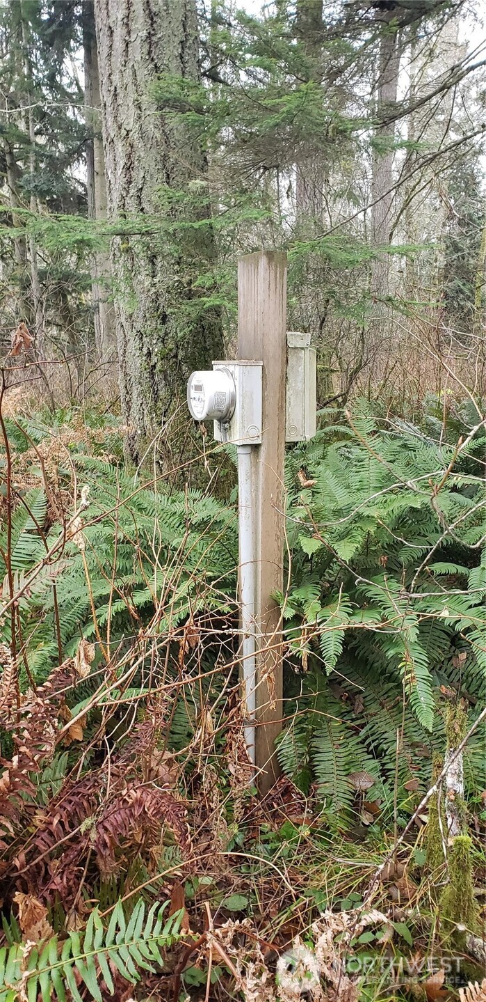 104 Northeast State Highway 104 Poulsbo, WA 98370 - Photo 30 of 34 a view of a garden with a fountain