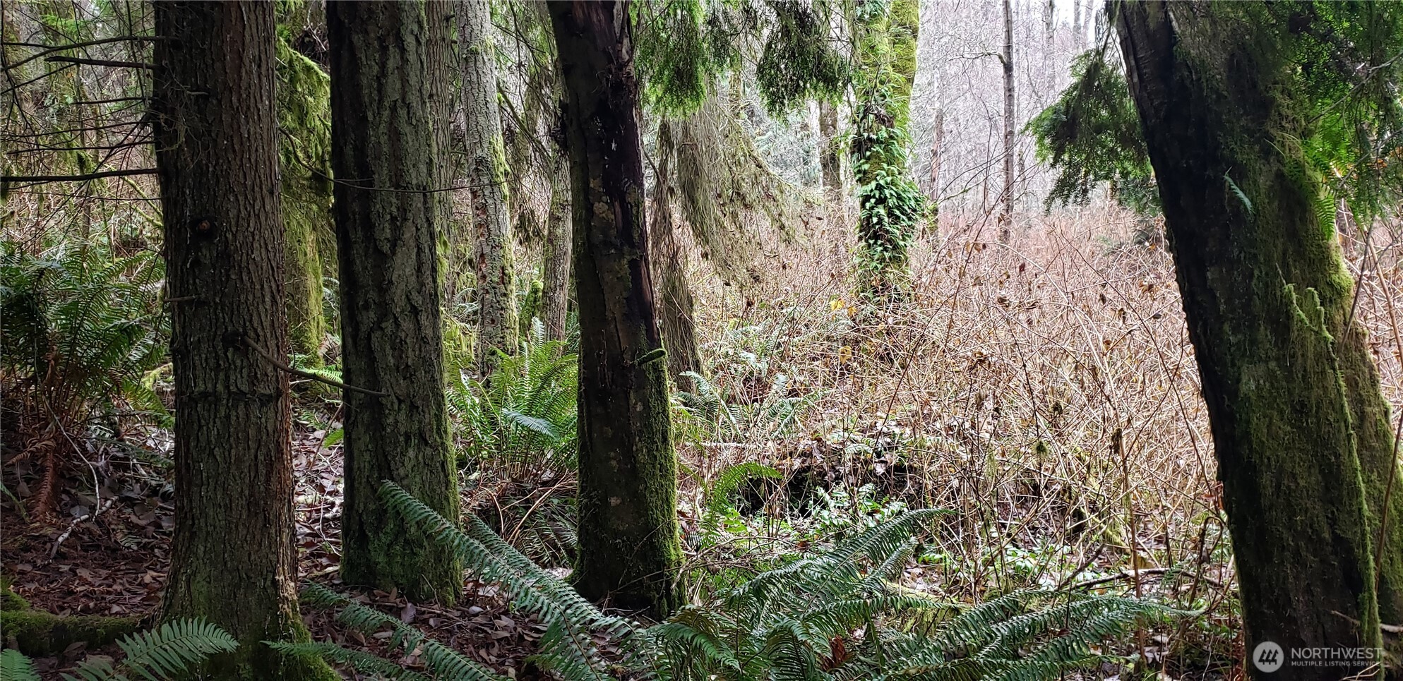 104 Northeast State Highway 104 Poulsbo, WA 98370 - Photo 6 of 34 a view of a garden