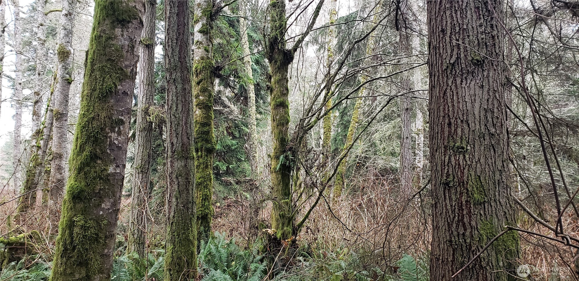 104 Northeast State Highway 104 Poulsbo, WA 98370 - Photo 7 of 34