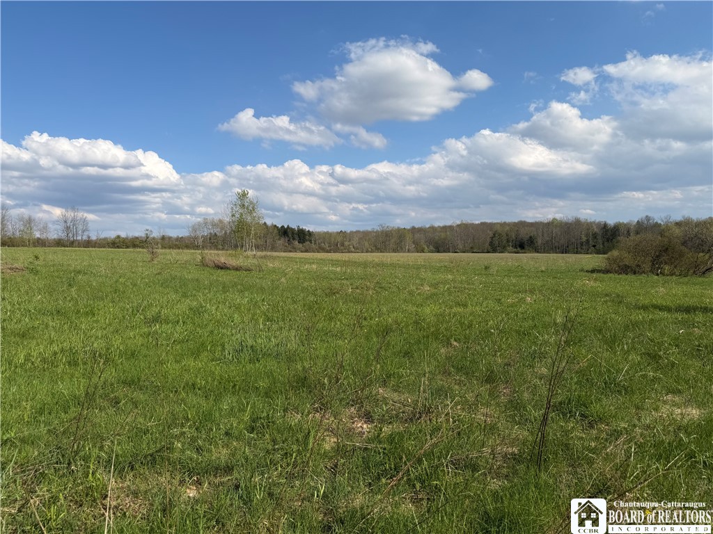 0 Scott Hill Road Kennedy, NY 14747 - Photo 12 of 16