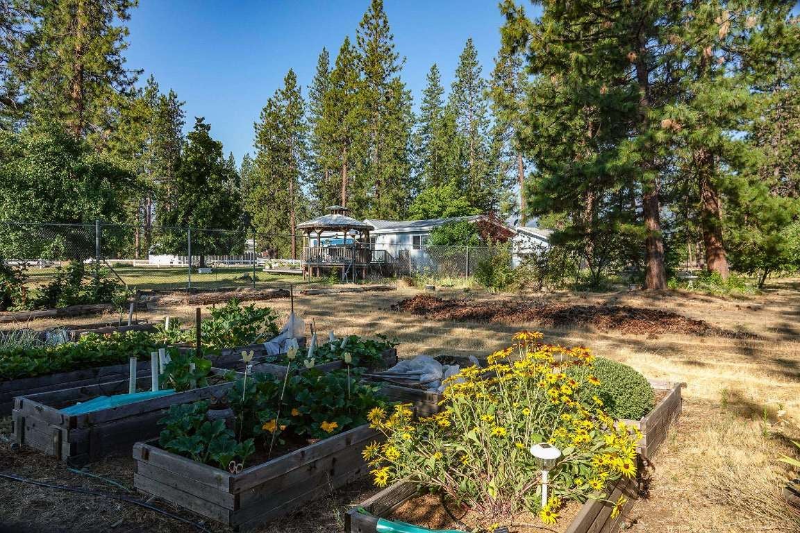 323 Greenview Road Greenview, CA 96037 - Photo 35 of 49 Gallery Image 35