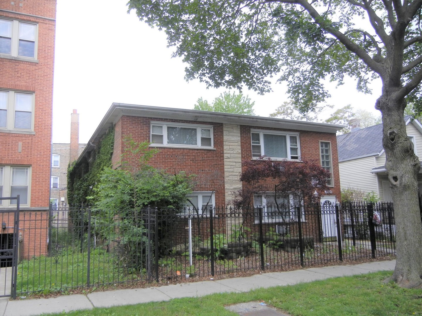 a view of a house with backyard and a tree