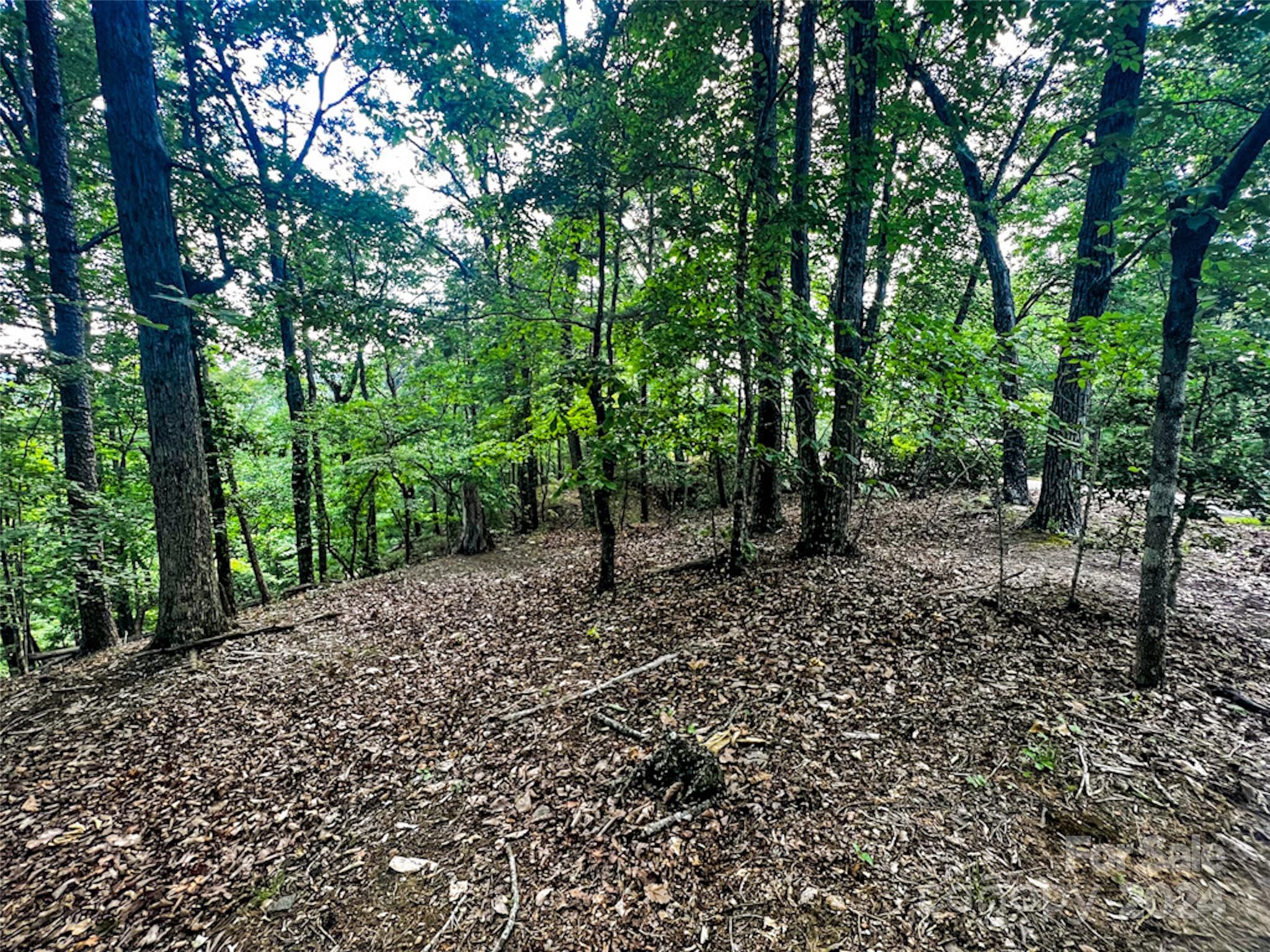 0 Whitney Boulevard Unit Lot 124  