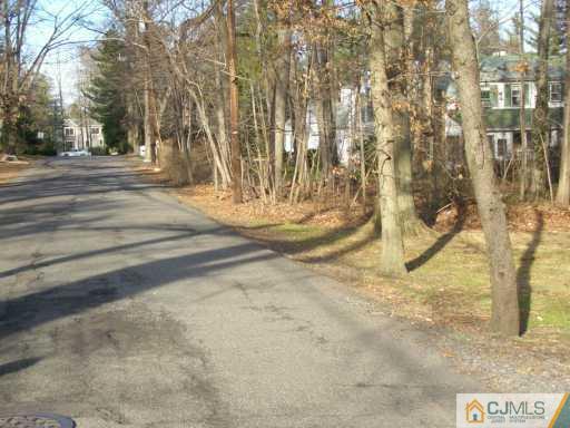 1 Devon Road Colonia, NJ 07067 - Photo 6 of 8 a view of parking space
