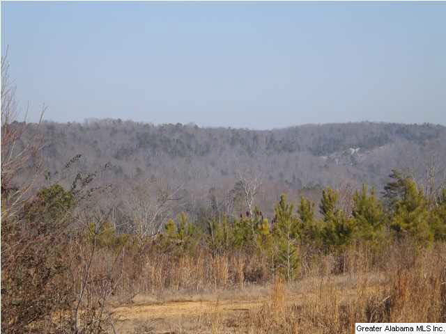 286 County Road, Unit 85 Collinsville, AL 35961 - Photo 1 of 23