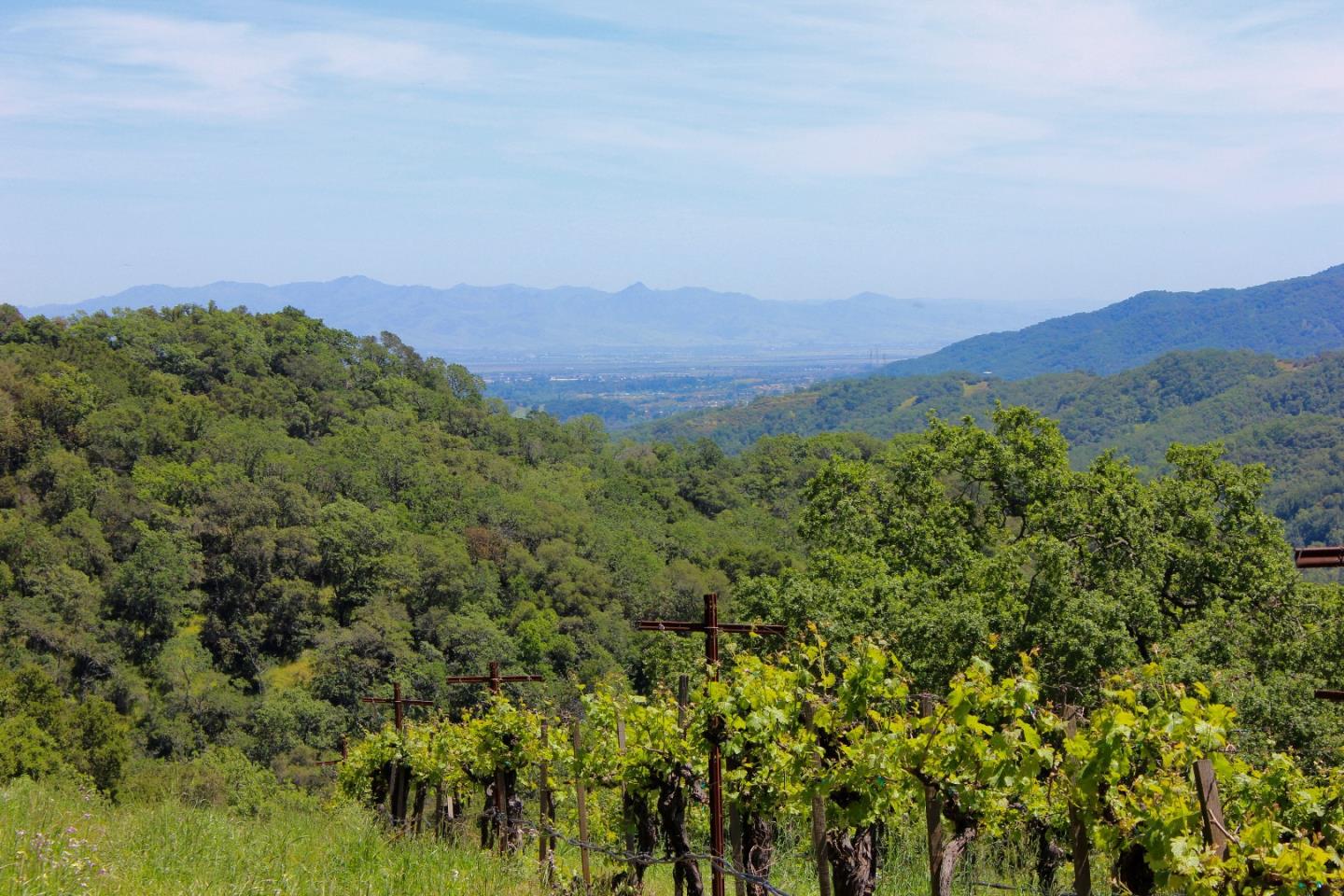 6500 Redwood Retreat Road Gilroy, CA 95020 - Photo 3 of 8 a view of a lush green field with a mountain in the background