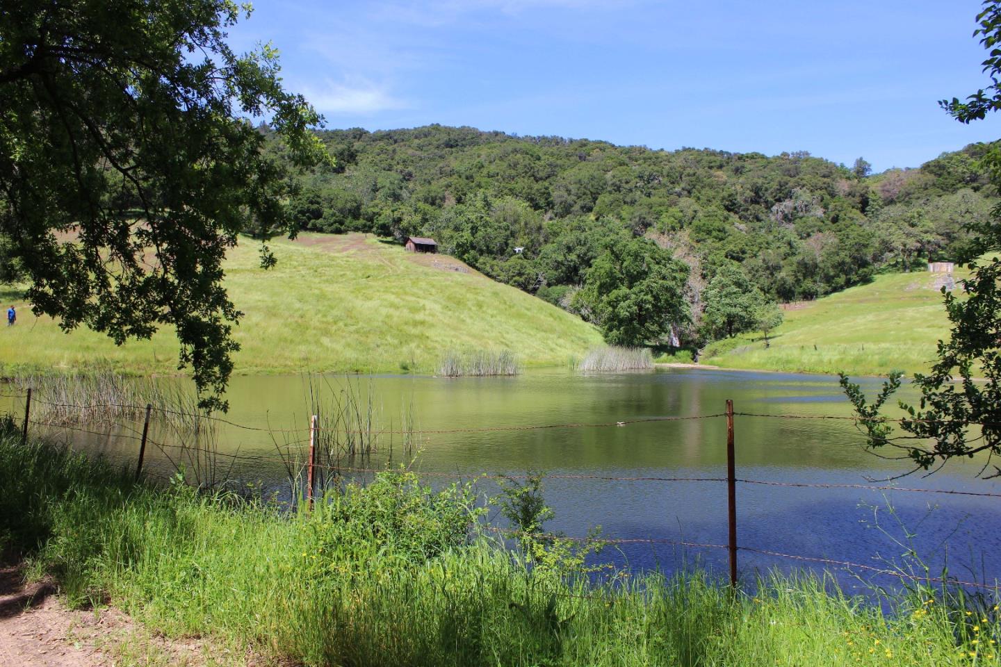 6500 Redwood Retreat Road Gilroy, CA 95020 - Photo 4 of 8 a view of a lake from a yard