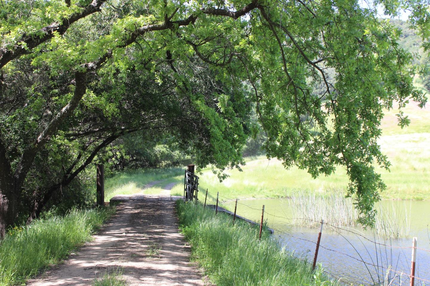 6500 Redwood Retreat Road Gilroy, CA 95020 - Photo 5 of 8 a view of an outdoor space and a yard