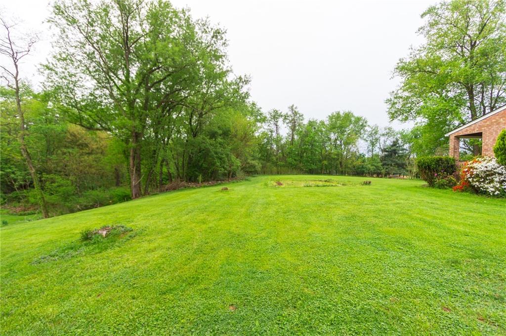 1153 Pentland Avenue Rochester, PA 15074 - Photo 23 of 23 View of the side yard that is an additional lot included with property.