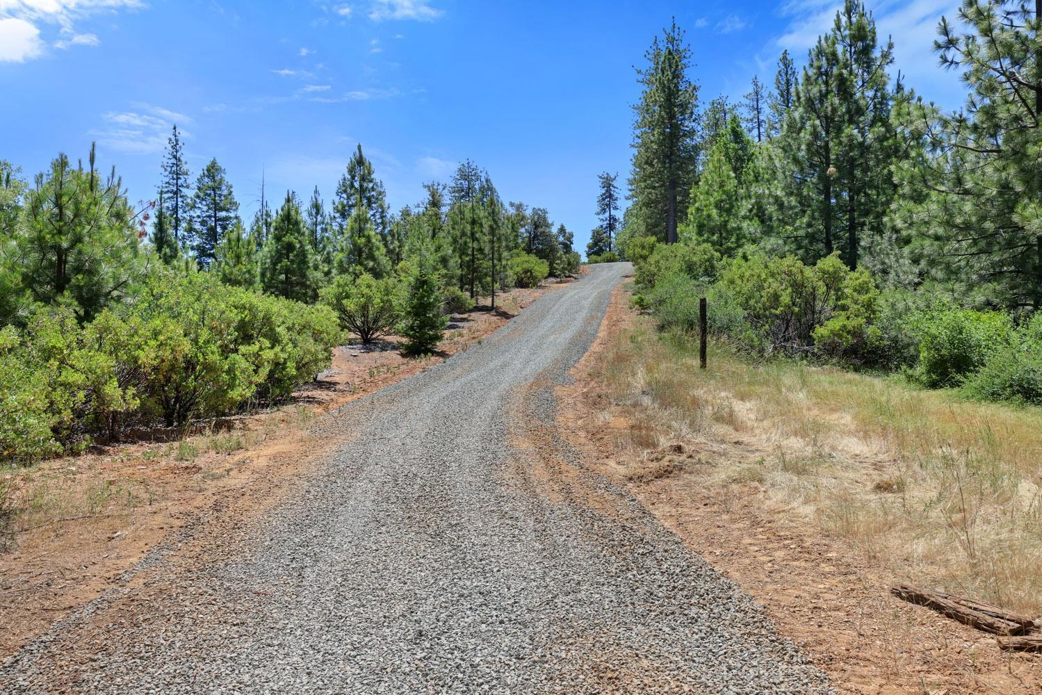 9999 Magra Road Colfax, CA 95713 - Photo 9 of 15 Gallery Image 9