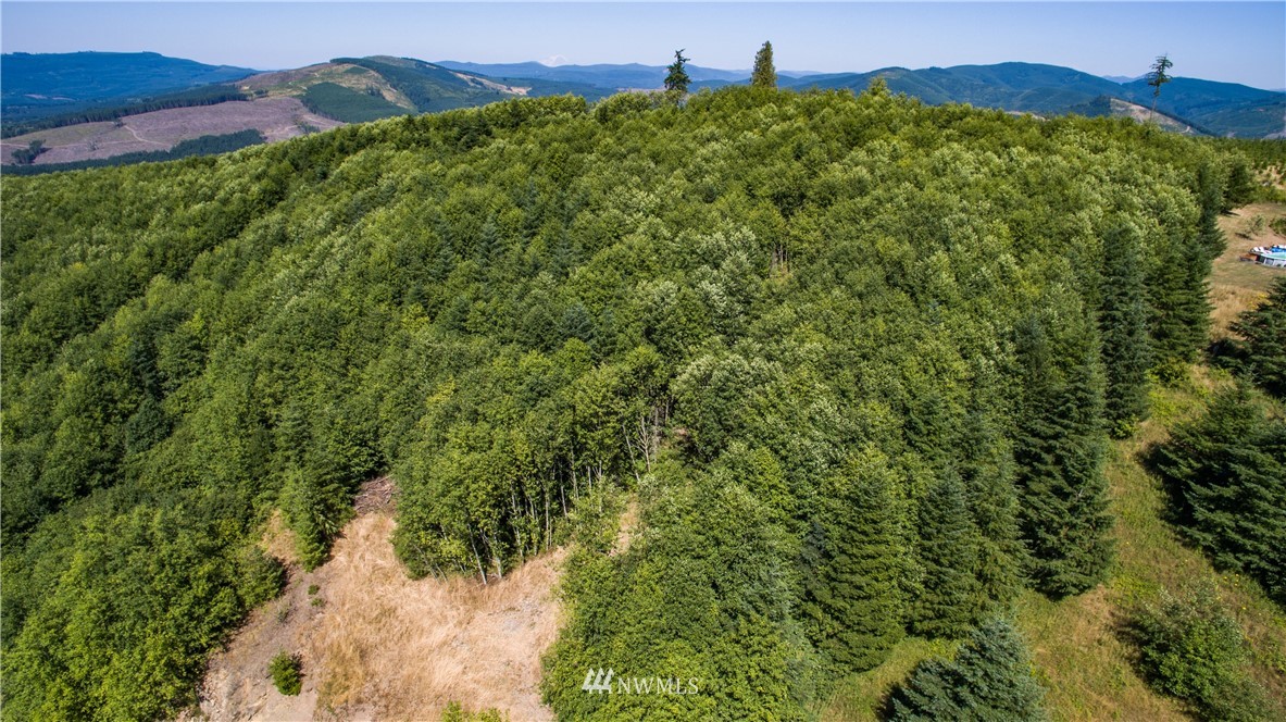 343 Ravenwood Road Kelso, WA 98626 - Photo 11 of 20 Gallery Image 11