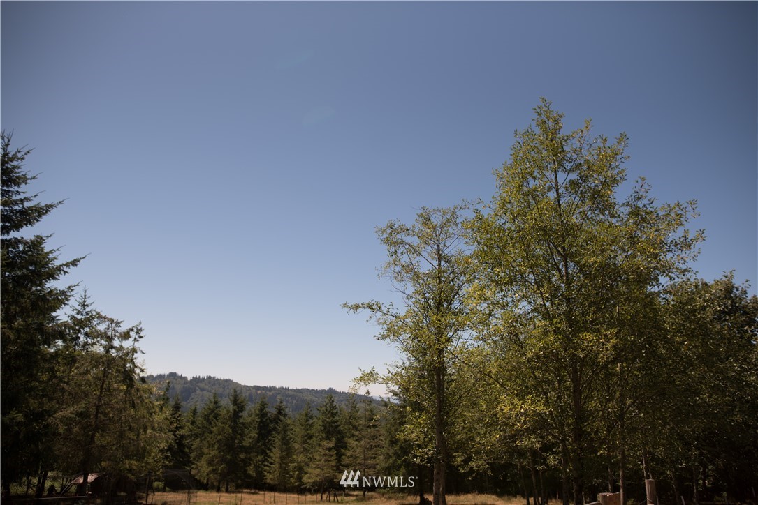343 Ravenwood Road Kelso, WA 98626 - Photo 4 of 20 Gallery Image 4