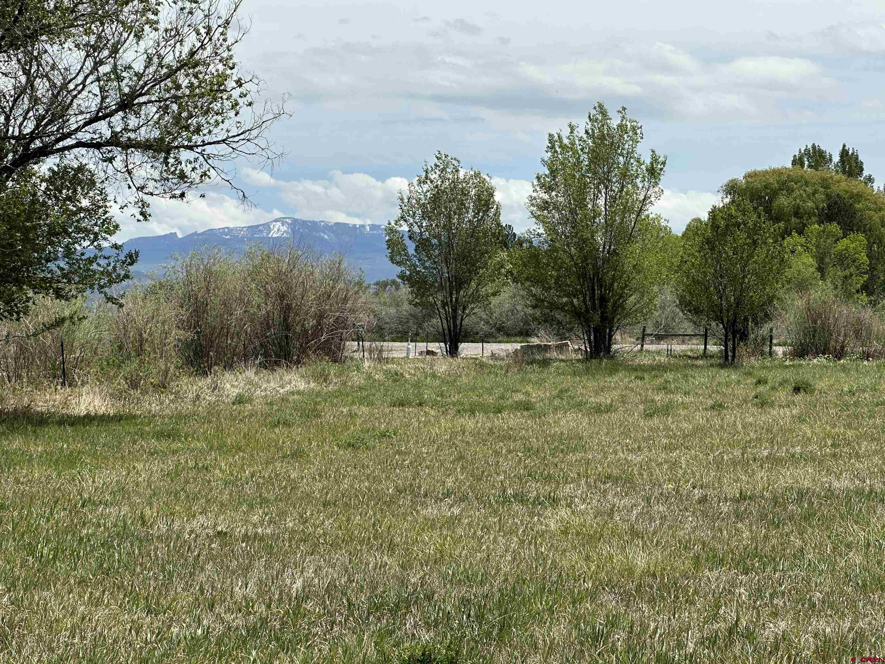 16674 6300 Road Montrose, CO 81403 - Photo 3 of 29