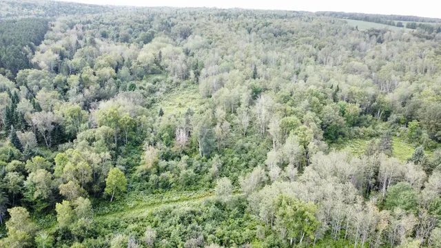 $85,000 | 7-l 52 Boundary Line Road, Van Buren, ME 04785