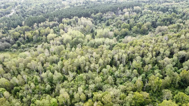 $85,000 | 7-l 52 Boundary Line Road, Van Buren, ME 04785