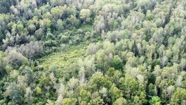 $85,000 | 7-l 52 Boundary Line Road, Van Buren, ME 04785