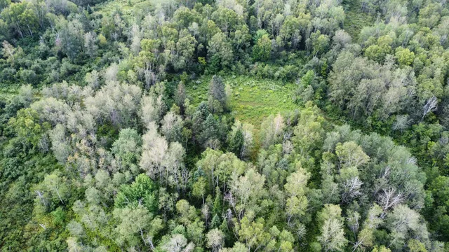 $85,000 | 7-l 52 Boundary Line Road, Van Buren, ME 04785