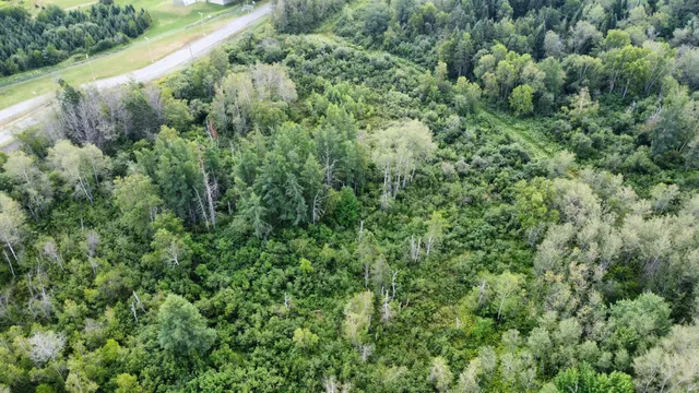 $85,000 | 7-l 52 Boundary Line Road, Van Buren, ME 04785