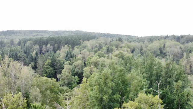 $85,000 | 7-l 52 Boundary Line Road, Van Buren, ME 04785