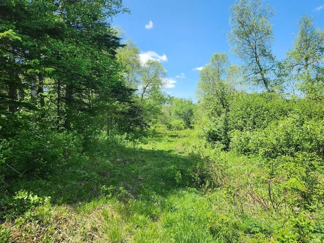 $85,000 | 7-l 52 Boundary Line Road, Van Buren, ME 04785