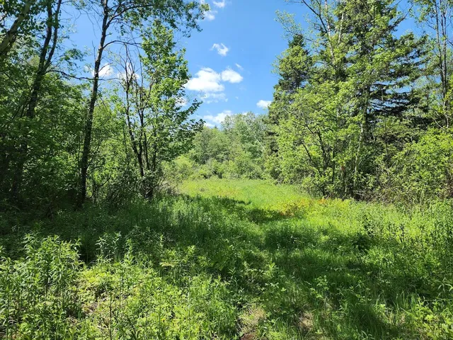 $85,000 | 7-l 52 Boundary Line Road, Van Buren, ME 04785