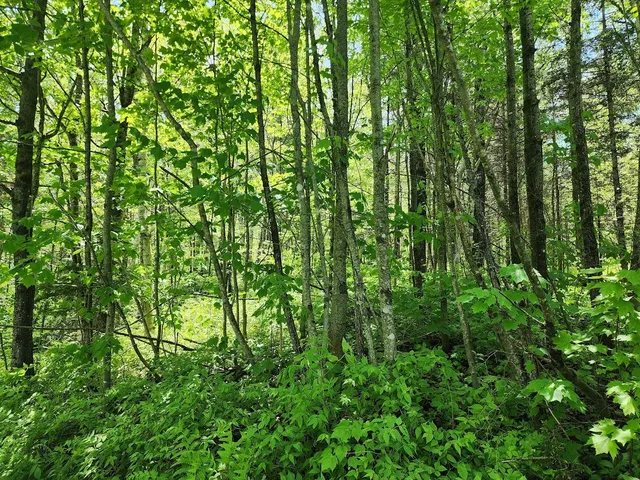 $85,000 | 7-l 52 Boundary Line Road, Van Buren, ME 04785