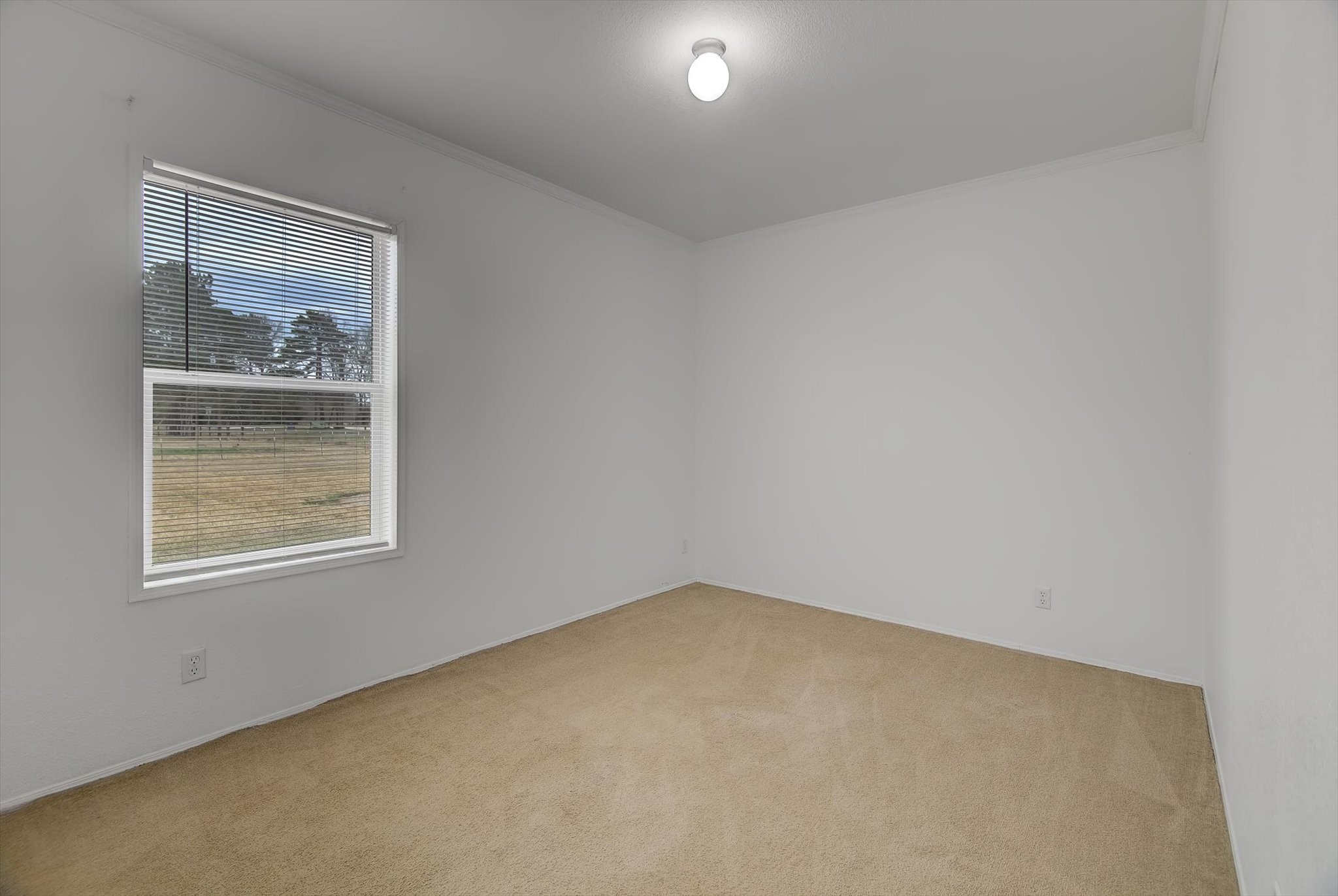 577 County Road 2251 Cleveland, TX 77327 - Photo 40 of 50