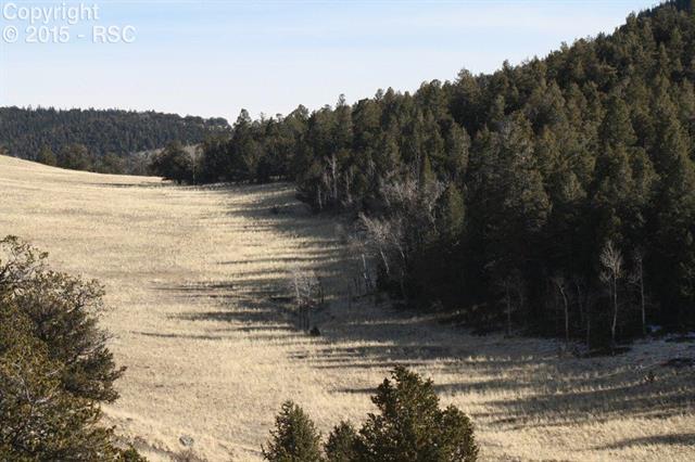 Unknown Road Hartsel, CO 80449 - Photo 4 of 9