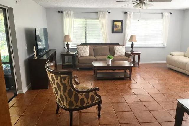a living room with furniture and a potted plant
